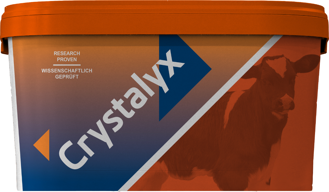 CRYSTALYX Mentholyx (Orange)