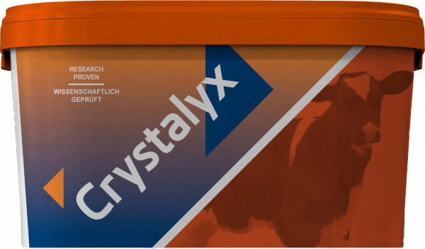 CRYSTALYX Mentholyx (Orange)