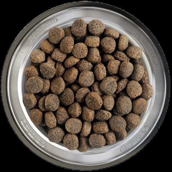 BELCANDO Senior Sensitive