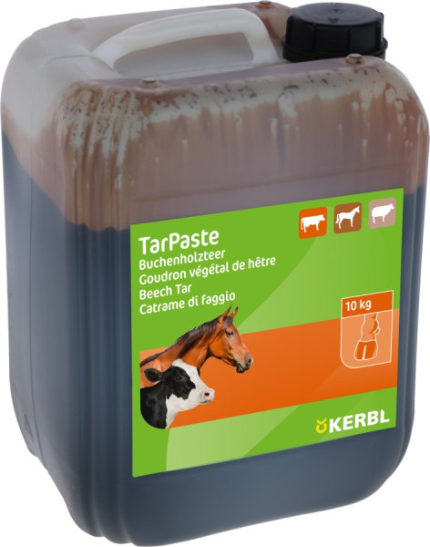 Buchenholz Teer Paste