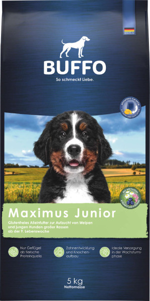 BUFFO Maximus Junior